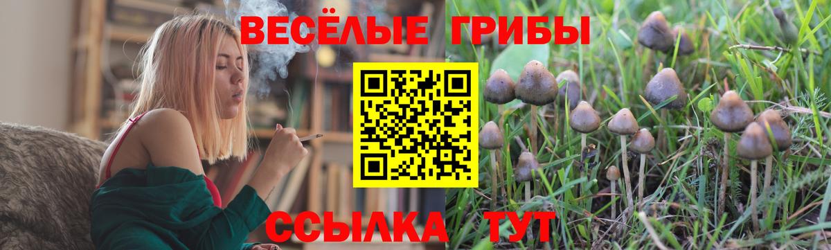 Семёнов  Галлюциногенные грибы мицелий  Галлюциногенные грибы прущие грибы  что такое   Вход с VPN 
